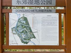 -东郊湿地公园