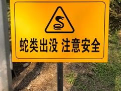 -白水寺森林公园