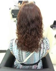 -1139-佛伦斯接发烫染国际连锁