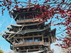 -杭州半山国家森林公园