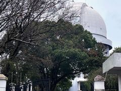 -上海佘山国家森林公园西佘山园