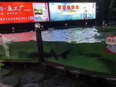 -天怡·鱼工厂(梅溪湖店)