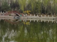 -迎泽公园