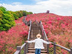 -瑞安圣井山景区