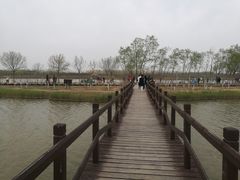 -西青郊野公园