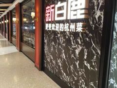 -新白鹿餐厅(百联中环店)