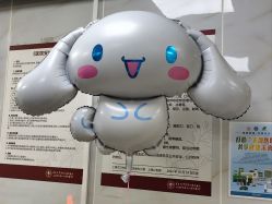 -复旦大学附属妇产科医院(黄浦院区)