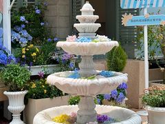 -苏小糖(鼓浪屿三丘田花园店)