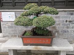 -吴敬梓故居