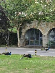 -Angel Fish photography 儿童摄影工作室(亚运村店)