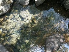 -白云源风景区