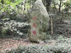-上海佘山国家森林公园天马山园