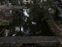 -成都市活水公园
