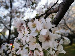 -苏州上方山国家森林公园