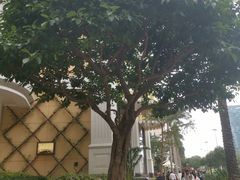 -番茄屋葡式美食(总店)