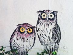 -槟城街头艺术街区