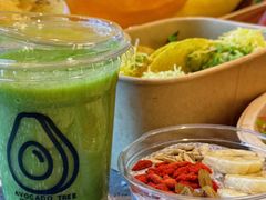 -油梨树AVOCADO TREE(嘉里中心店)