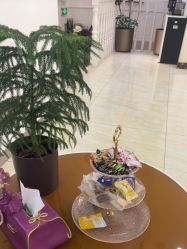 -紫洁俪方（北京）医疗美容