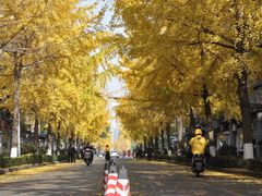 -四川大学(望江校区)