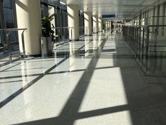 -首都医科大学附属北京天坛医院