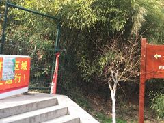 -竹子庵公园