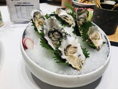 生蚝-红鼎豆捞·非遗鲍皇汤火锅(宝丰路店)