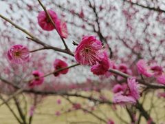 -长广溪湿地公园