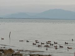 -深圳湾公园(南山区)