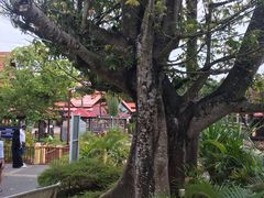 -The Zone Duty Free Shop