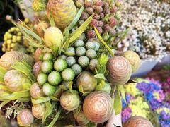 -ChaKo Flora ·茶子花艺 (市北店)