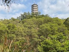 -深圳国际园林花卉博览园