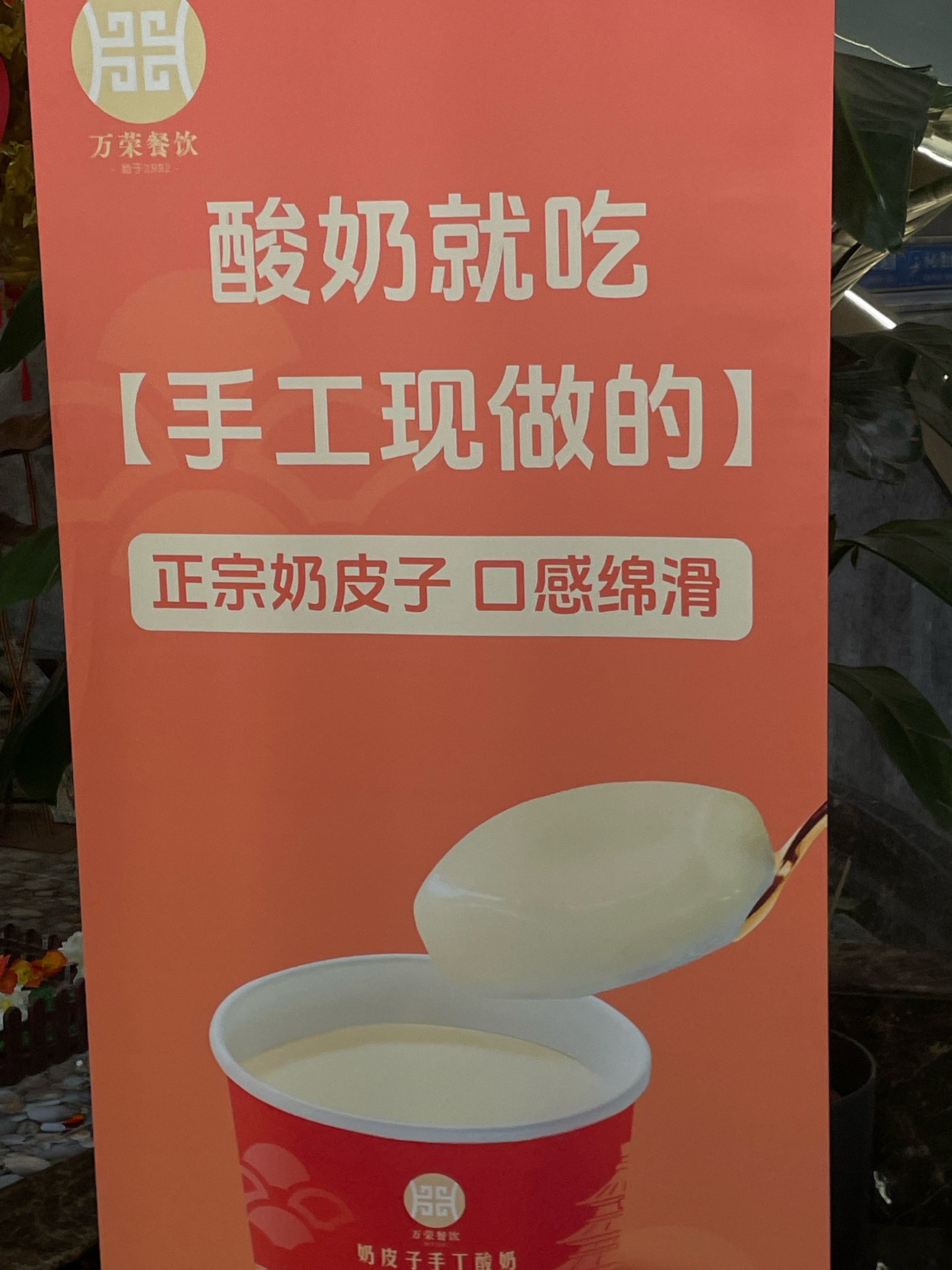 酸奶就吃手工现做奶皮子酸奶好吃
