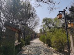 -爱新觉罗皇家博物院
