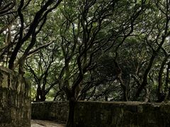 -普陀山慧济禅寺