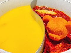 -青瓷火锅料理(西单大悦城店)