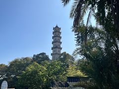 -江心屿景区