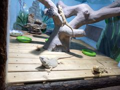 -石家庄市动物园