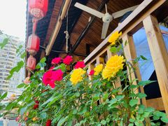-郑件洋芋饭庄