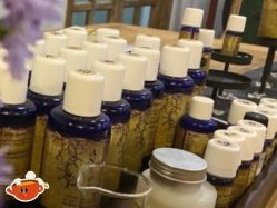 点击看大图 -芳香乐府SPA·五行芳疗