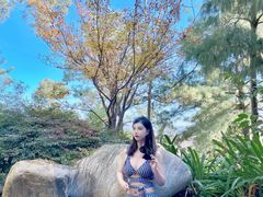 -七彩云南古滇温泉山庄