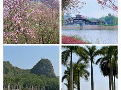 -南宁花花大世界景区