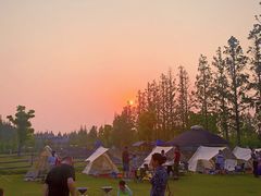 -前小桔亲子创意农场·草莓采摘·露营烧烤