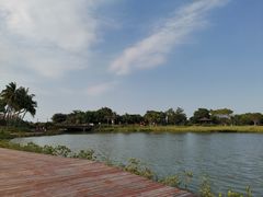 -万绿园