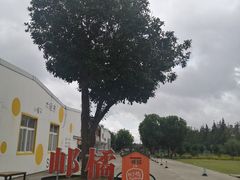 -前小桔亲子创意农场·草莓采摘·露营烧烤