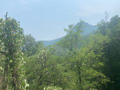 -阳台山自然风景区