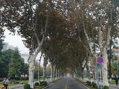 -四川大学(望江校区)
