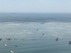 -枸杞岛