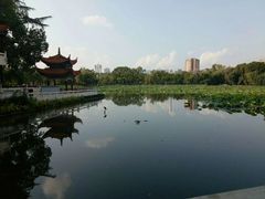 -翠湖六号全日制西餐厅(翠湖宾馆店)