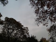 -咱家王新国把子肉(县东巷店)