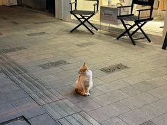-留白咖啡(人民巷八号大院店)